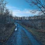 Franta Voprsalek profile picture